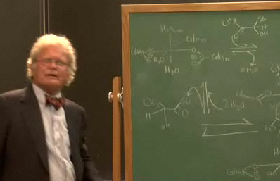 Professor Wikipedia Is a Haphazard Mess!