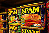 Getting Revenge on Spammers