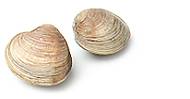 Expert New England Clam Chowder Expert New England Clam Chowder