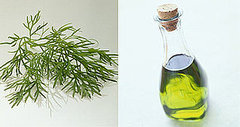 Top 5 Flavor Pairing Predictions for 2009 Top 5 Flavor Pairing Predictions for 2009