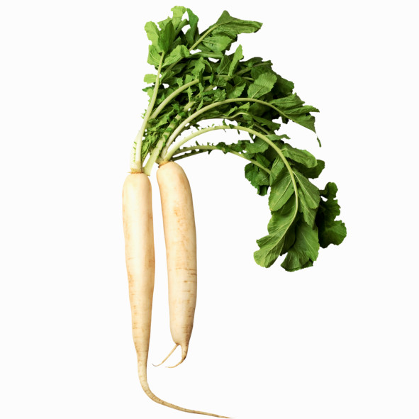Daikon Daikon