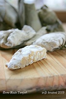 Yummy Link: Homemade Tempeh 