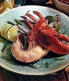 Expert Grilled Lobster Expert Grilled Lobster