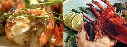 Grilled Lobster Two Ways — Beginner and Expert