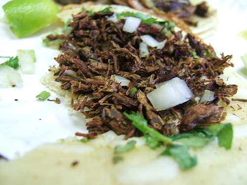 Would You Eat This Chapulines Taco?