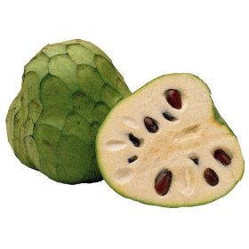 Cherimoya
