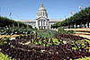 Coming Soon: Coverage of Slow Food Nation '08!