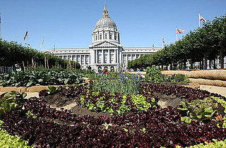 Coming Soon: Coverage of Slow Food Nation '08!