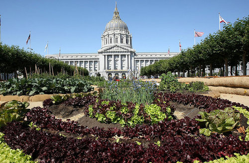 Coming Soon: Coverage of Slow Food Nation '08!