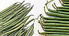 Burning Question: Are Haricots Verts Just Green Beans?