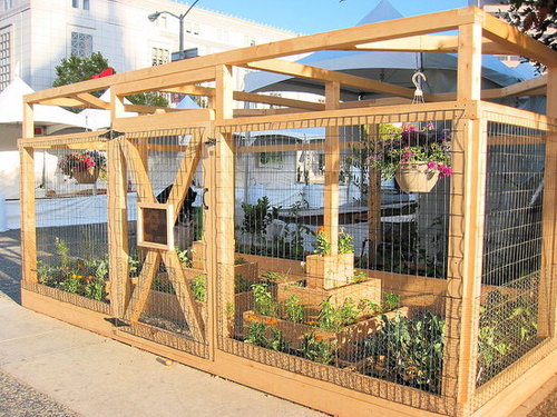 Good Food Garden: Love It or Hate It?
