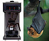 Woman's Coffee Goes Batty