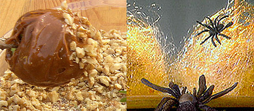 Caramel Apples Two Ways — Beginner and Expert