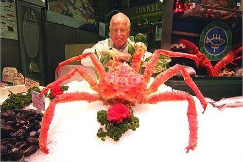 Would You Eat This Giant Crab?
