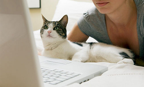 Do You Cruise Craigslist for Pet Supplies or Services?