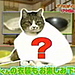 TV in Japan