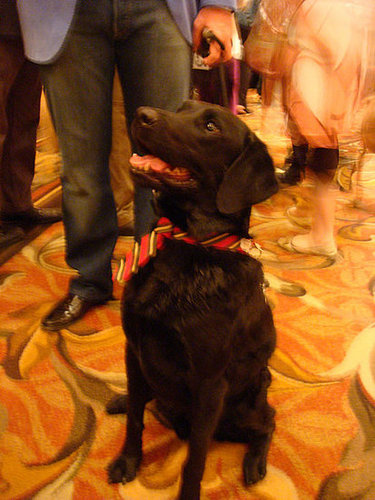 All dressed up All dressed up