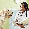 Choosing Your Pet's Veterinarian