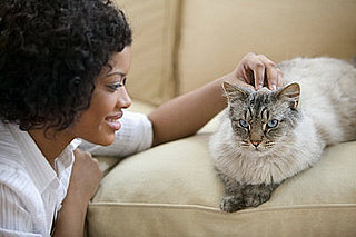 Gifts for the Cat Mom