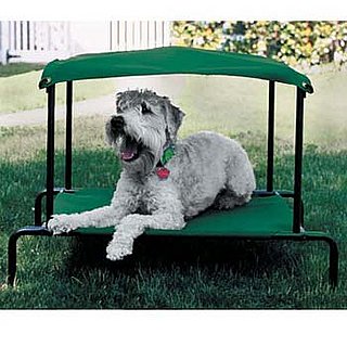 The Breezy Bed Keeps Pets off the Ground