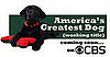 America's Greatest Dog Casting Call