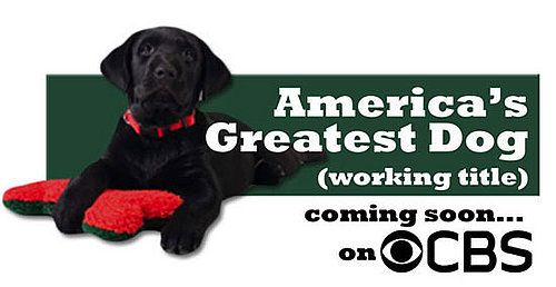 America's Greatest Dog Casting Call