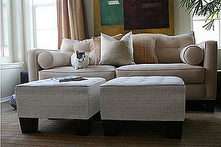 Scratchable Furniture from Cat Livin and Viesso
