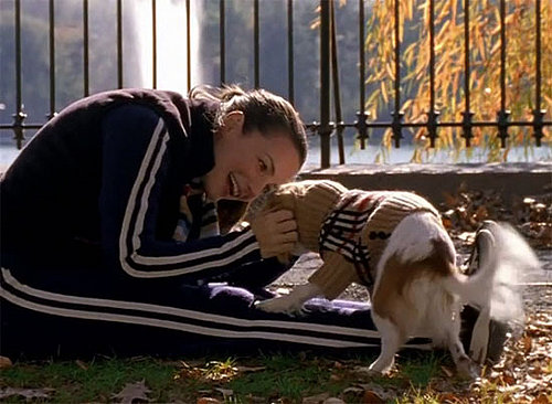 Can You Name Charlotte's Dog?