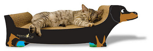 Dachshund Scratcher for Kitty Revenge