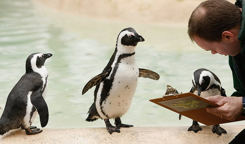 Too Cute For Words! 2008-06-15 11:00:35
