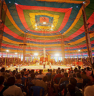 Do You Still Go To The Circus?