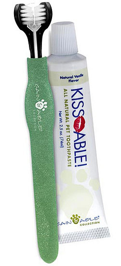 Yes, You Can Clean Your Pet's Teeth With a Toothbrush