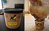 Yöghund Frozen Yogurt For Dogs