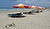 PetSugar's Weekly Recap 2008-08-02 09:00:27