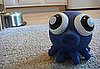 Do Your Pets Have A Favorite Toy?