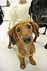 Pet Pics on Petsugar 2008-08-15 08:00:55