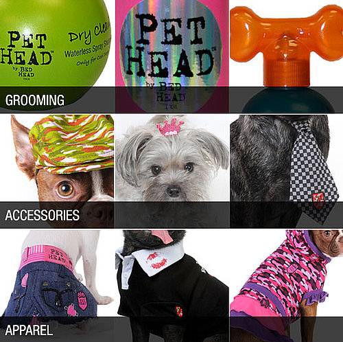 Bed Head Launches Pet Head