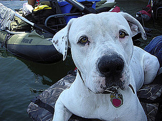 Pet Pics on Petsugar 2008-08-21 08:00:59
