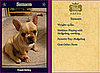 Samson Makes Worldwide Fido Semi Finals!