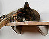 Bamboo Cat Shelves From Feel More Human and Square Cat Habitat
