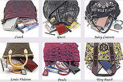 FromBagsToRiches Rents Handbags and Nintendo DS Through December FromBagsToRiches Rents Handbags and Nintendo DS Through December