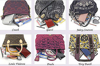 FromBagsToRiches Rents Handbags and Nintendo DS Through December