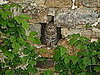 Pet pics on Petsugar 2008-09-23 08:00:07