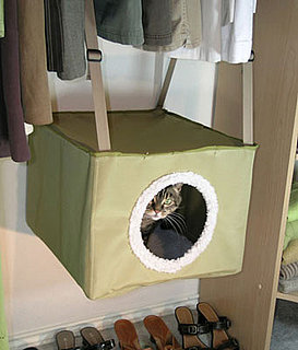 Kittywalk Closet Sleeper