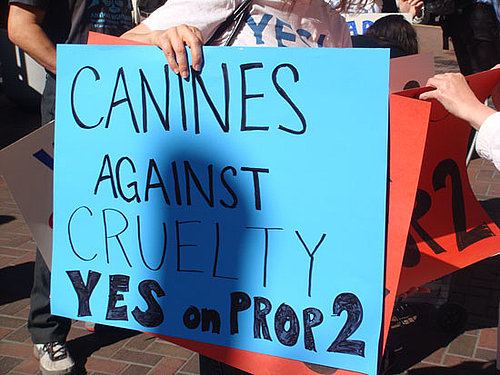 Dogs Bark Yes on Prop 2 in California
