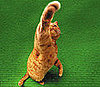 PetSugar Weekly Recap Quiz 2008-10-18 11:00:27