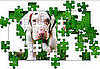 Puppy Jigsaw Puzzle from National Geographic