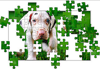 Puppy Jigsaw Puzzle from National Geographic