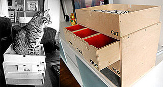 DIY Charging Station and Kitty Perch