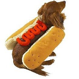 Hot Dog Costume SALE $7